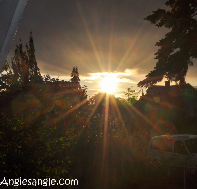 Catch the Moment 366 Week 24 - Day 165 - Setting Sun