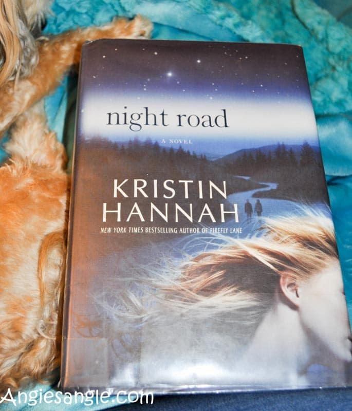 Catch the Moment 366 Week 25 - Day 175 - Current Book Night Road