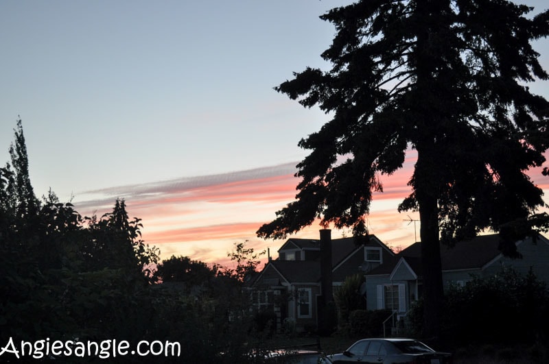 Catch the Moment 366 Week 27 - Day 186 - Striped Sky