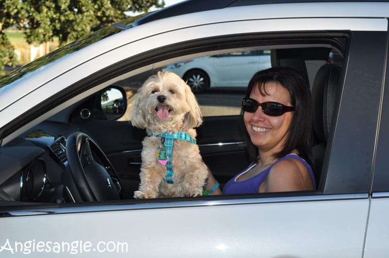 Running Errands With The 2016 Mitsubishi Outlander Sport (52)