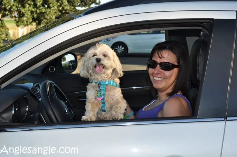 Running Errands With The 2016 Mitsubishi Outlander Sport (52)