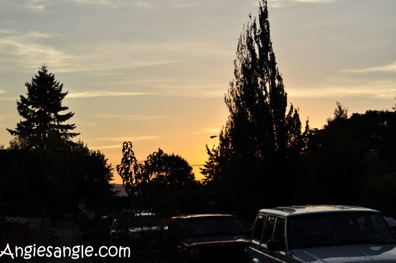 Catch the Moment 366 Week 35 - Day 240 - Sunset