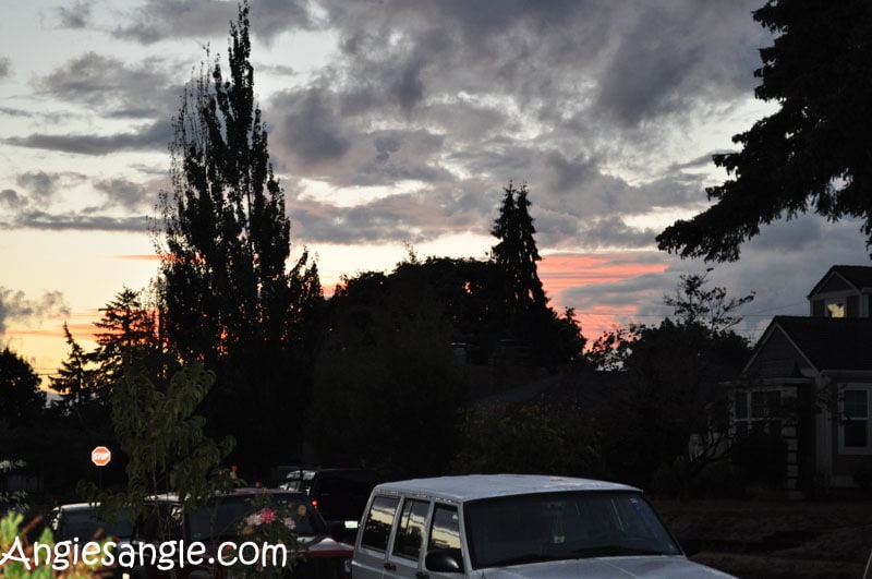 Catch the Moment 366 Week 35 - Day 245 - Sunset and Darkness