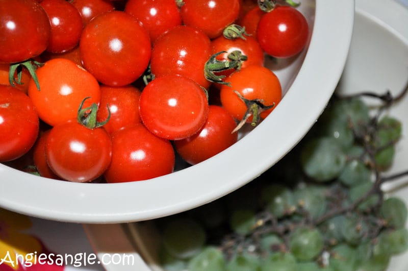 catch-the-moment-366-week-37-day-255-garden-tomatoes-and-grapes