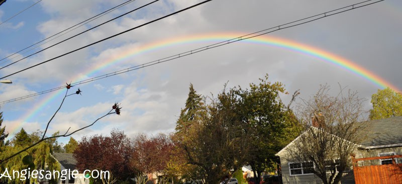 catch-the-moment-366-week-42-day-290-rainbow