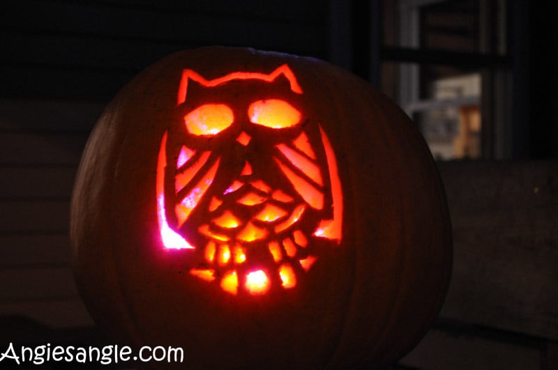 catch-the-moment-366-week-44-day-306-owl-pumpkin