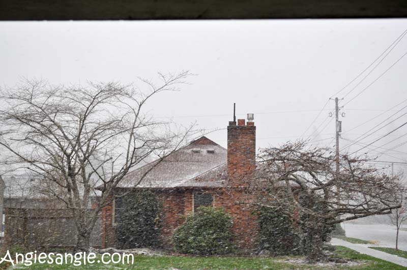 Catch the Moment 366 Week 49 - Day 344 - Snow Day