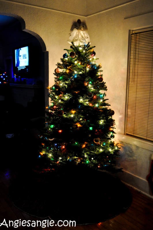 Catch the Moment 366 Week 50 - Day 348 - 2016 Christmas Tree