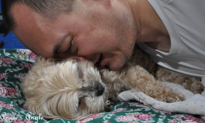 2017 Catch the Moment 365 Week 3 - Day 18 - Daddy Kissing Roxy