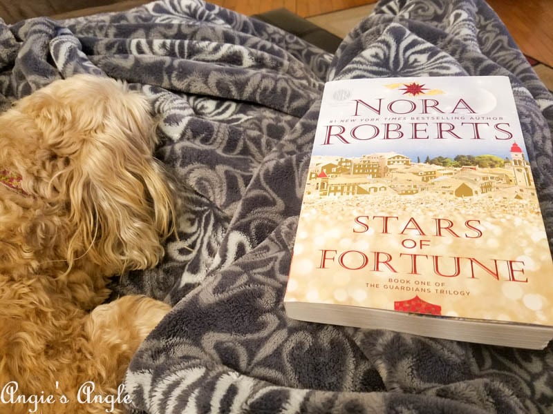 2017 Catch the Moment 365 Week 4 - Day 26 - New Book and Roxy