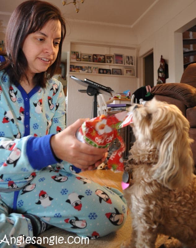 Catch the Moment 366 Week 52 - Day 361 - Roxy Unwrapping Gifts