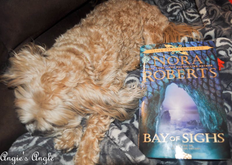 2017 Catch the Moment 365 Week 9 - Day 59 - Current Book and Sleepy Roxy