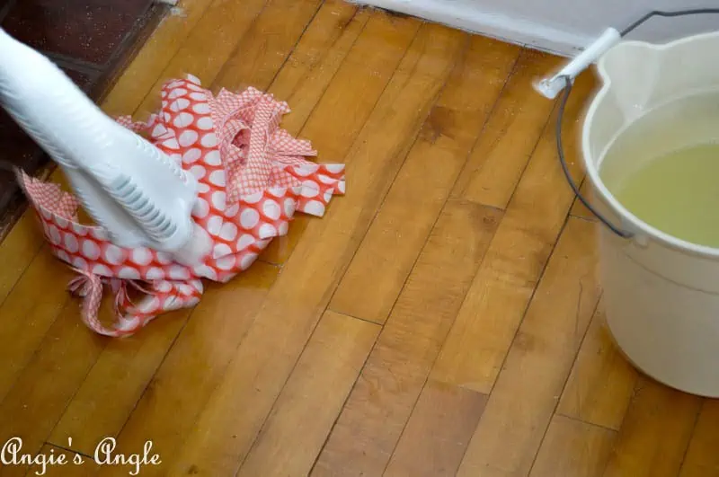 Spring Cleaning with Libman-6