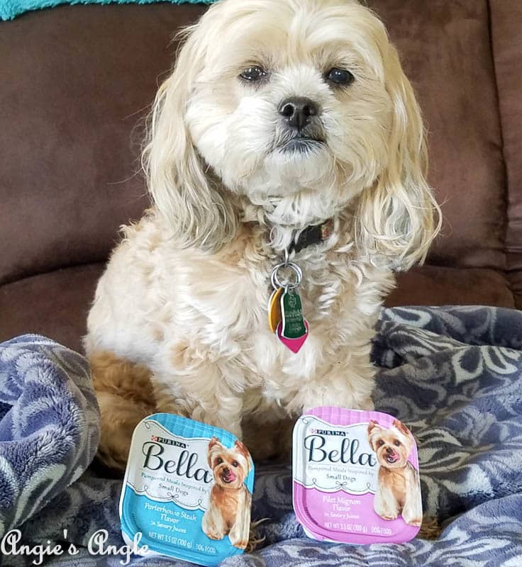 2017 Catch the Moment 365 Week 14 - Day 96 - Roxy and Bella food