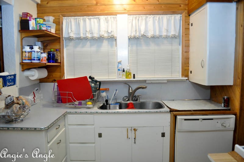 2017 Catch the Moment 365 Week 15 - Day 99 - Clean Half of Kitchen