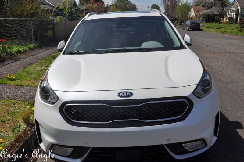 New Kia Niro (15 of 22)