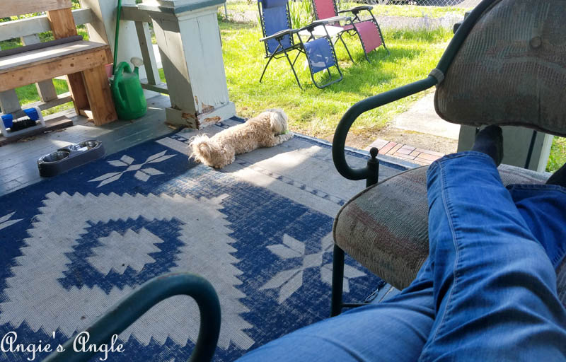 2017 Catch the Moment 365 Week 19 - Day 129 - Outside Reading