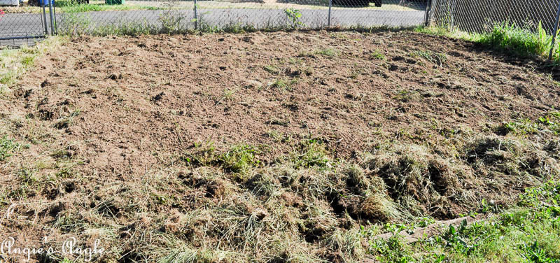 2017 Catch the Moment 365 Week 22 - Day 148 - Tilling of the Garden