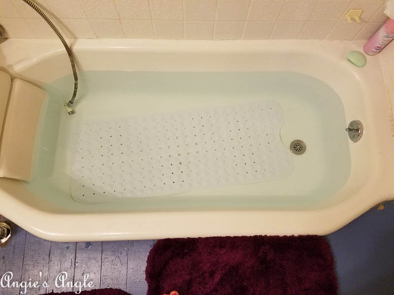 2017 Catch the Moment 365 Week 24 - Day 166 - Full Bathtub