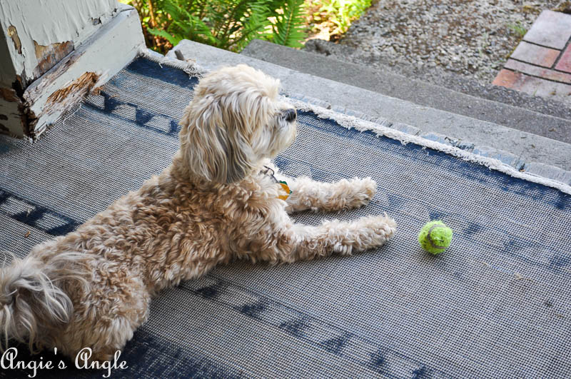 2017 Catch the Moment 365 Week 25 - Day 171 - Ready to Work Outside with Mommy