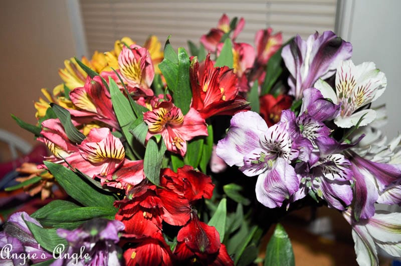 2017 Catch the Moment 365 Week 25 - Day 172 - Anniversary Flowers