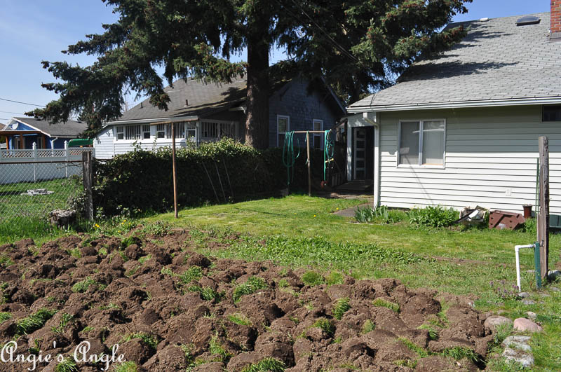 Exposing the State of the Backyard Now