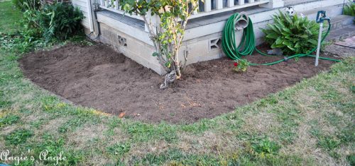 2017 Catch the Moment 365 Week 30 - Day 204 - Front Garden Bed