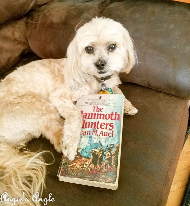 2017 Catch the Moment 365 Week 31 - Day 215 - Roxy and Current Book