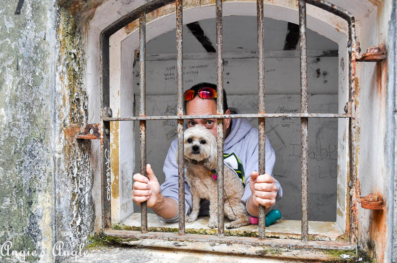 2017 Catch the Moment 365 Week 32 - Day 219 - Roxy and Jason in Jail