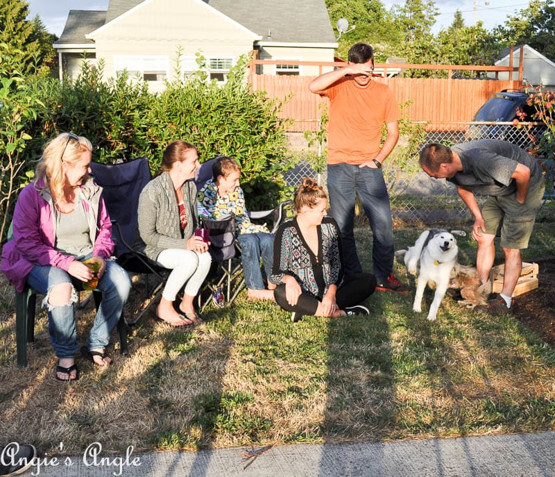 2017 Catch the Moment 365 Week 33 - Day 225 - Dogs Making Laughter
