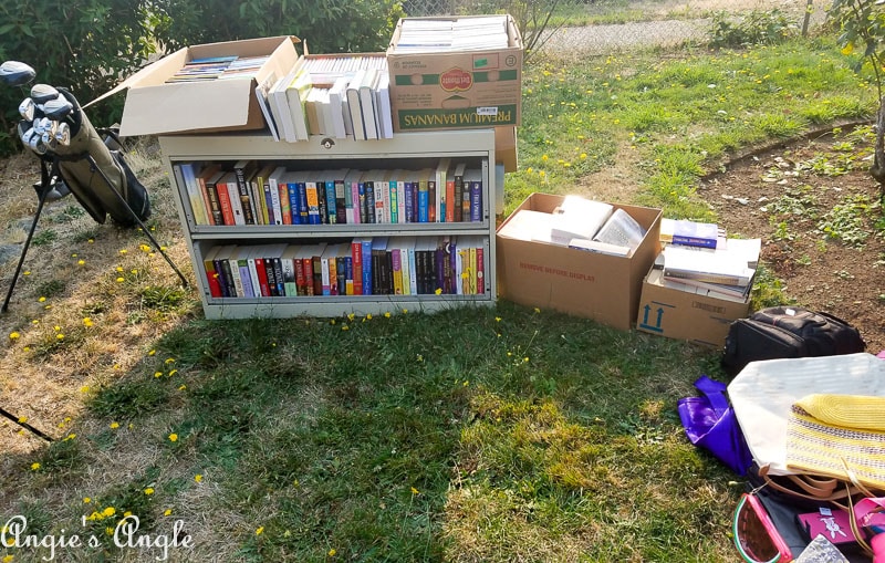 2017 Catch the Moment 365 Week 36 - Day 246 - Yard Sale Books