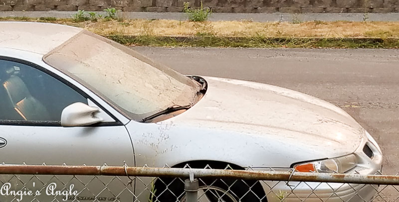 2017 Catch the Moment 365 Week 36 - Day 248 - Ash on Car