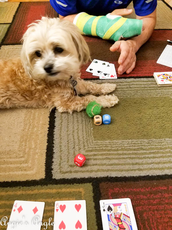 2017 Catch the Moment 365 Week 40 - Day 280 - Roxy Helping Us Play a Game