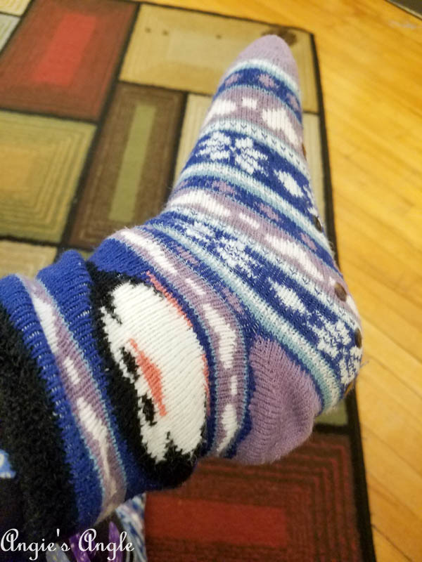 2017 Catch the Moment 365 Week 41 - Day 282 - Penguin Socks