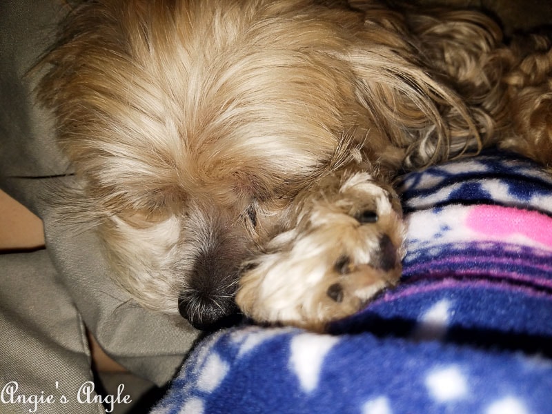 2017 Catch the Moment 365 Week 47 - Day 329 - Late Night Bedtime Cuddles