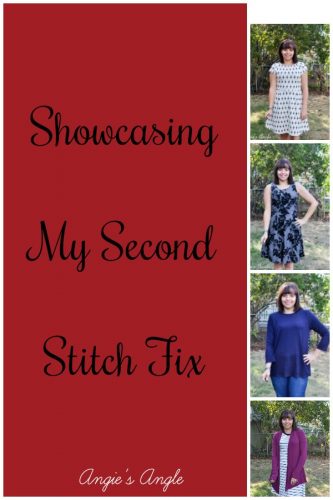Showcasing My Second Stitch Fix