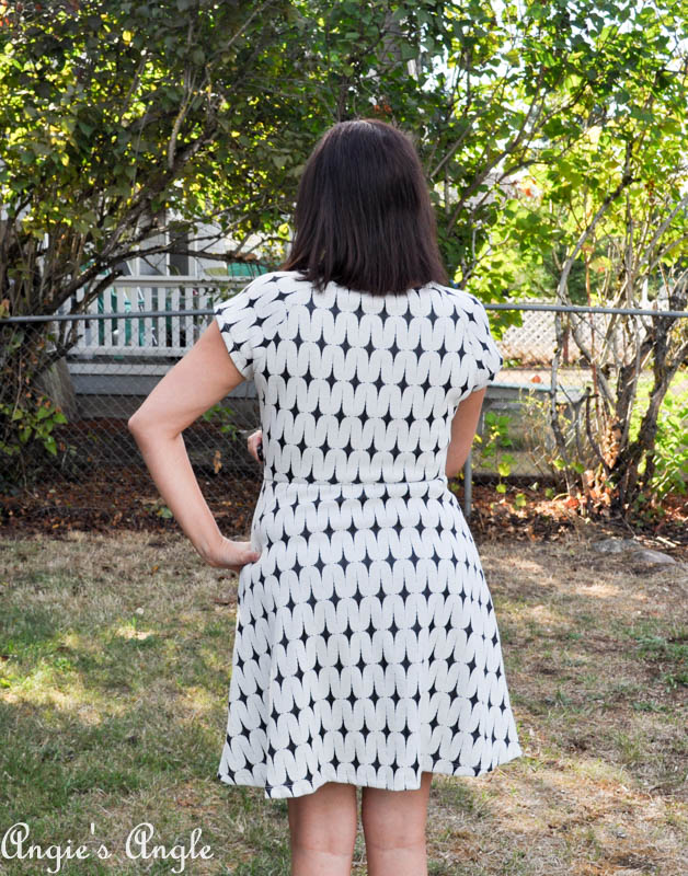 Showcasing Second Stitch Fix - Dress One Back