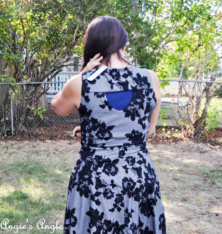 Showcasing Second Stitch Fix - Dress Two Back