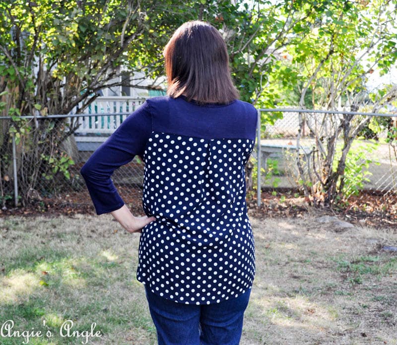 Showcasing Second Stitch Fix - Shirt Back