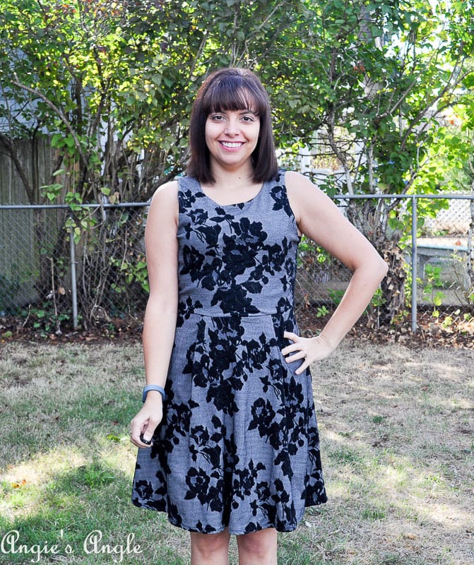 Showcasing my Second Stitch Fix - Front of Dress Two