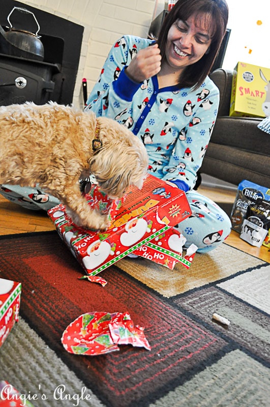 2017 Catch the Moment 365 Week 52 - Day 349 - Roxy Opening Gifts