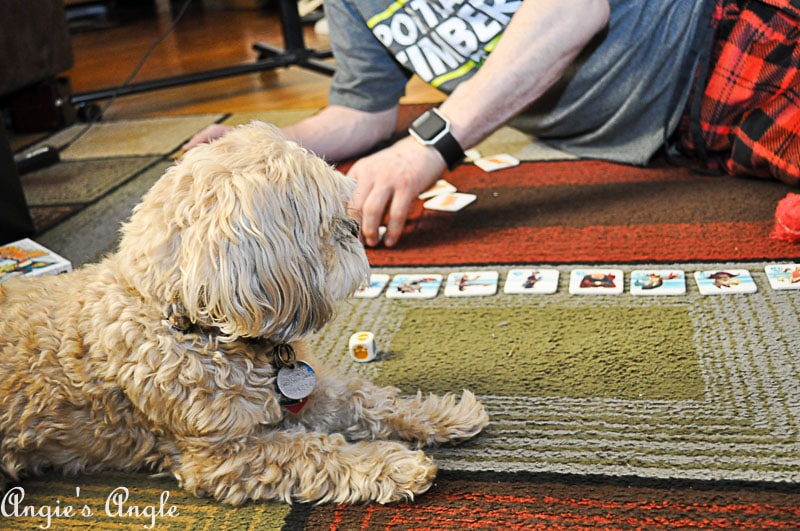 2018 Catch the Moment 365 Week 3 - Day 20 - Game Night with Yogi and Pow