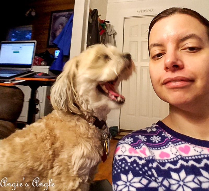 2018 Catch the Moment 365 Week 4 - Day 25 - Roxy is Going to Eat Me