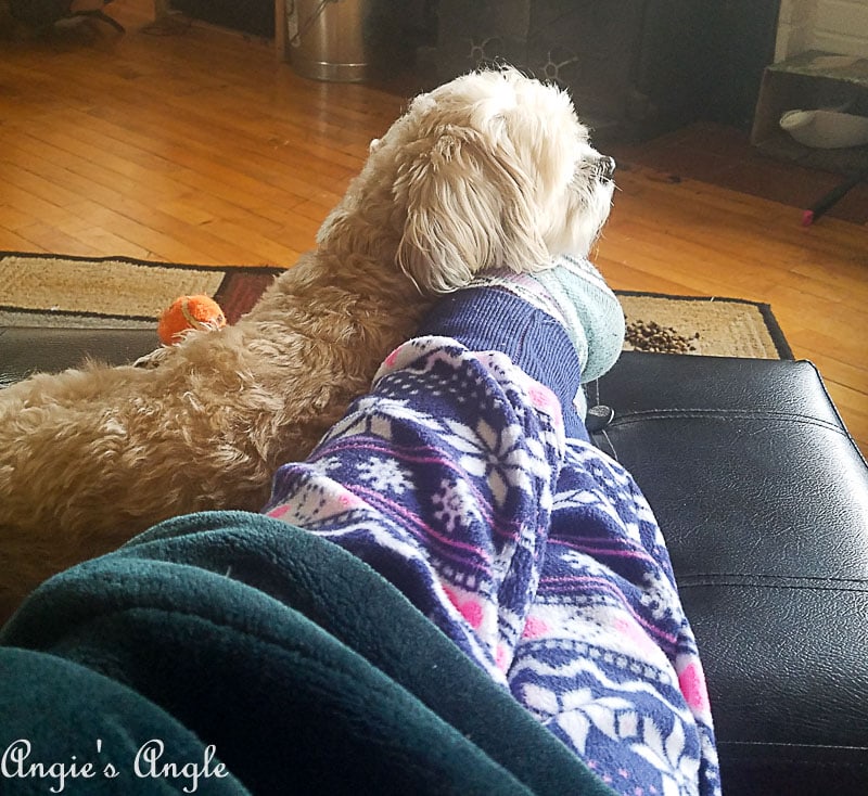 2018 Catch the Moment 365 Week 4 - Day 28 - Cuddles for Days