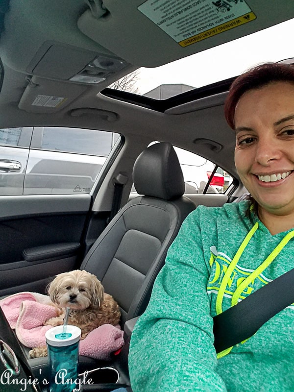 Exploring in the Kia Forte (11 of 12)