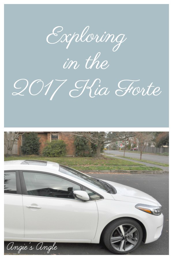 Exploring in the Kia Forte