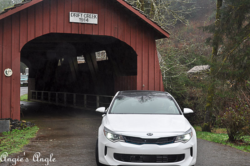 Adventures Happened in the Kia Optima PHEV-0057