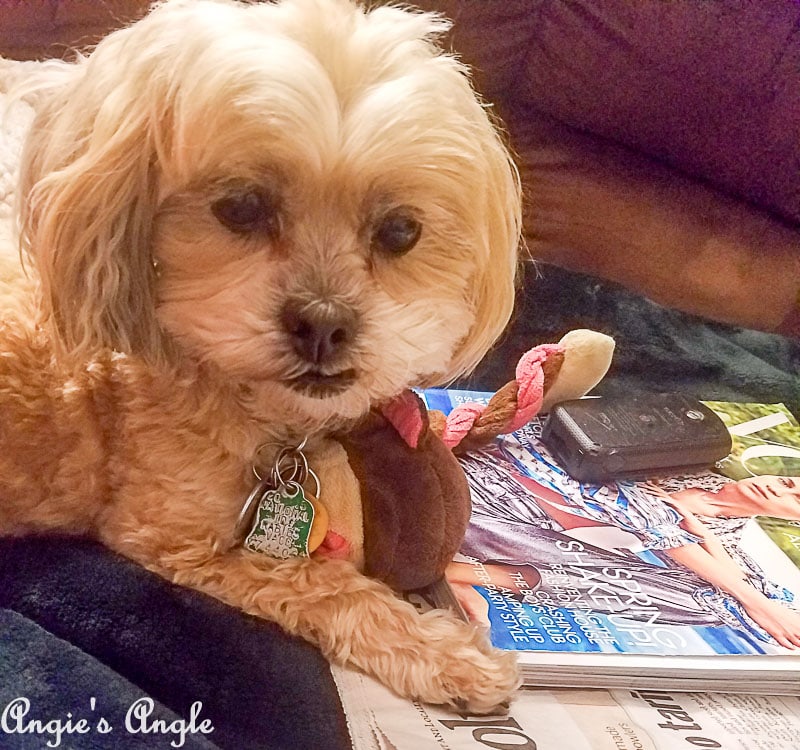 2018 Catch the Moment 365 Week 10 - Day 64 - Cuddling with Monkey