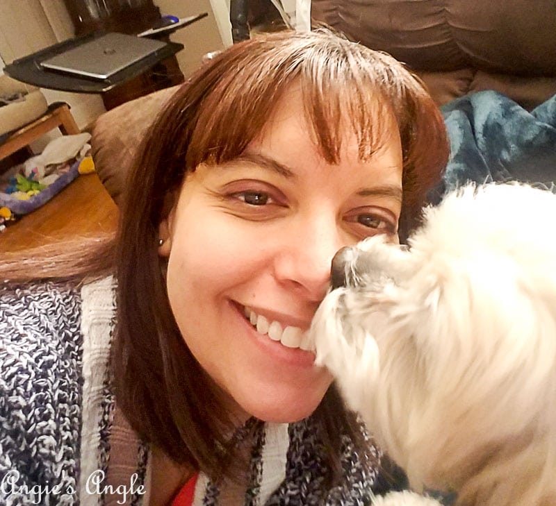 2018 Catch the Moment 365 Week 10 - Day 65 - Kisses from Roxy