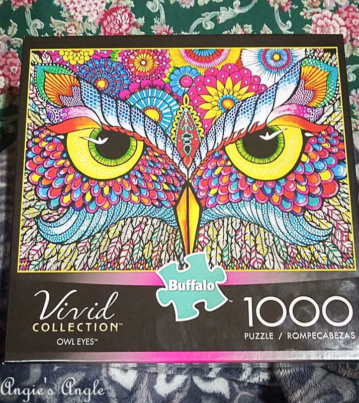 2018 Catch the Moment 365 Week 10 - Day 70 - Owl Puzzle